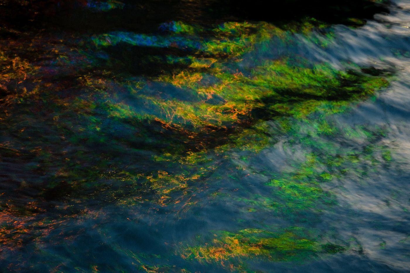Vivid green and orange iridescent colors reflecting off moving water, resembling an oil sheen