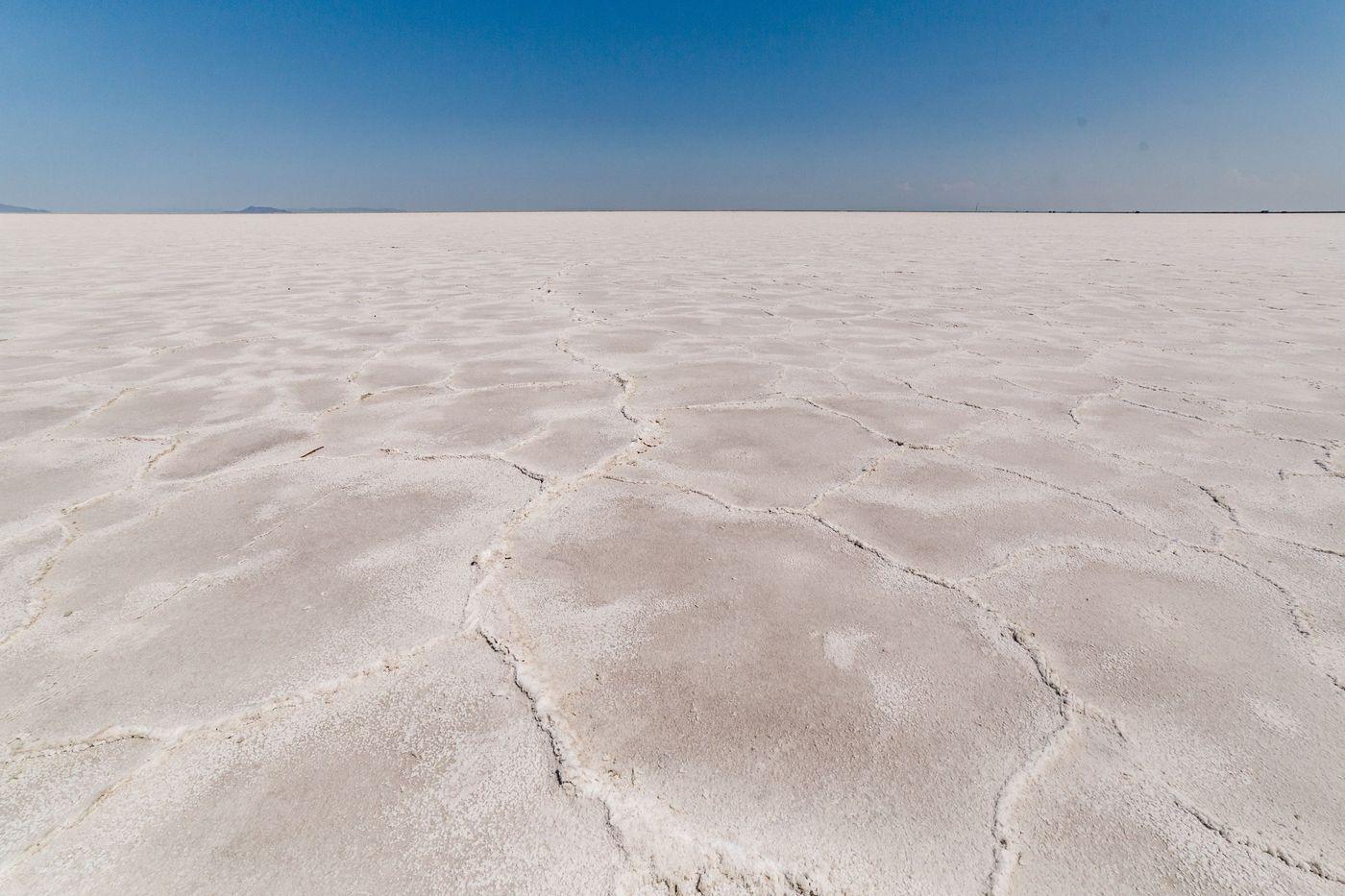 Geometric salt patterns across a dry pan under an open sky